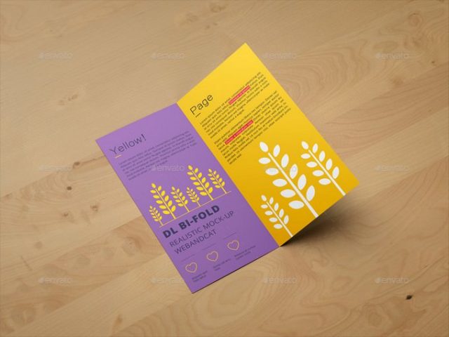 DL Bi-Fold Brochure Mockup