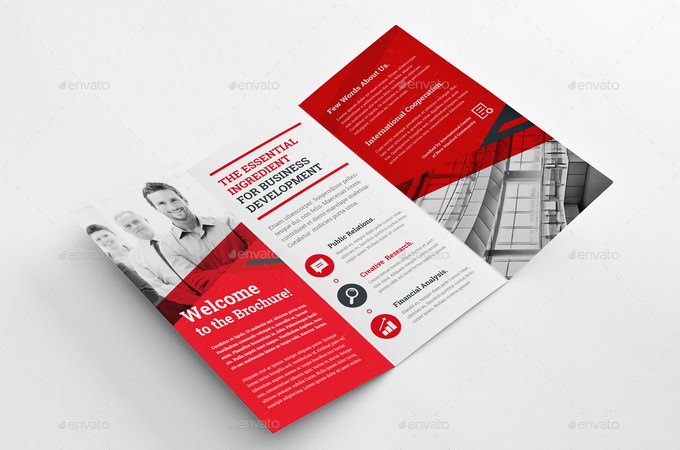 Professional Trifold Brochure
