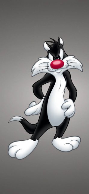 1125 × 2436 Cartoon iPhone Wallpapers Sylvester the Cat