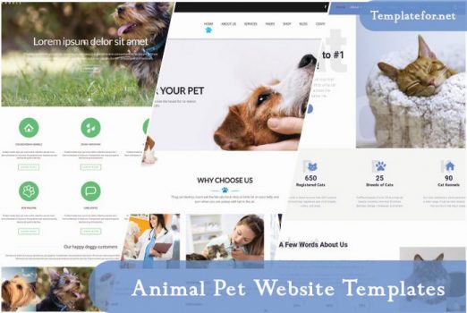 Animal Pet Website Templates