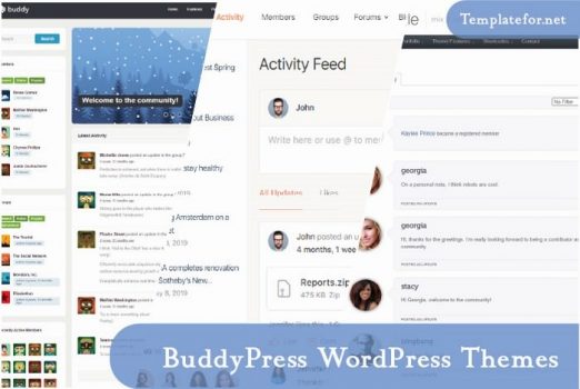 BuddyPress WordPress Theme