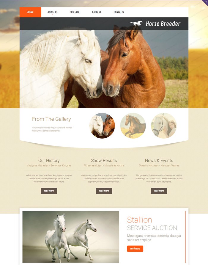 Horse Responsive Website Template
