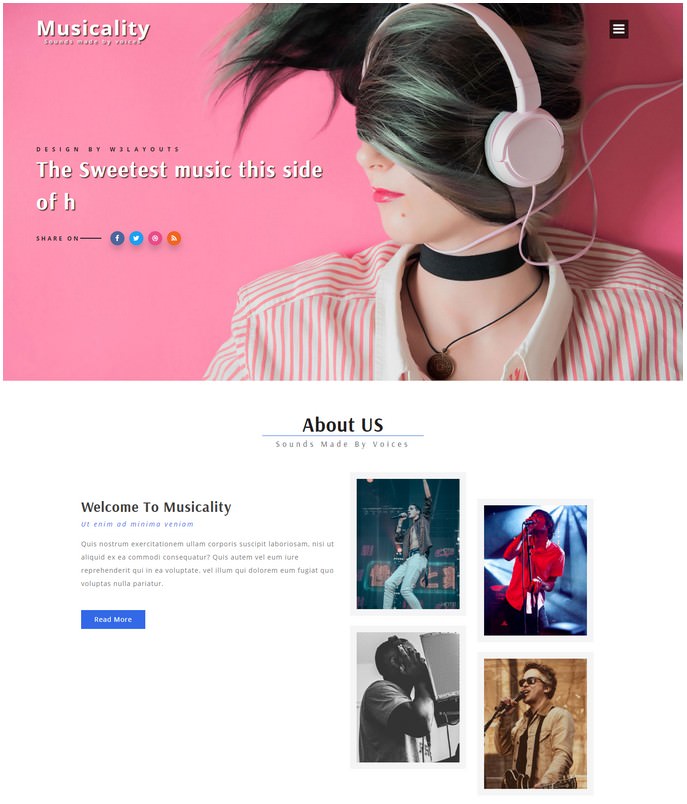 Musicality An Entertainment Responsive Web Template
