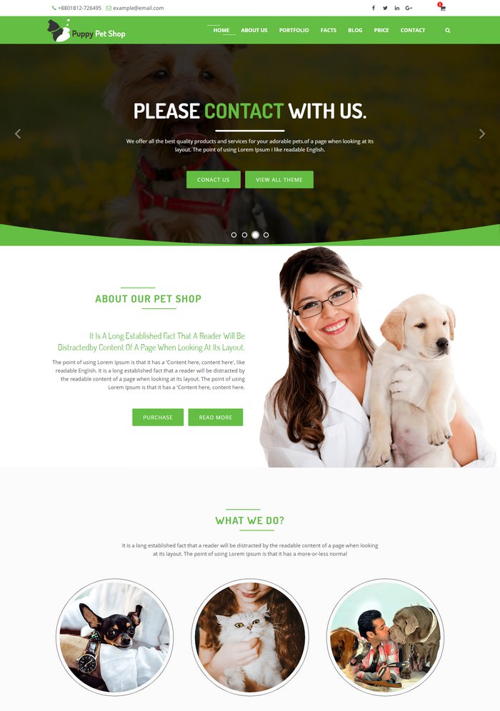 Petshop - Pet Shop, Veterinary Template