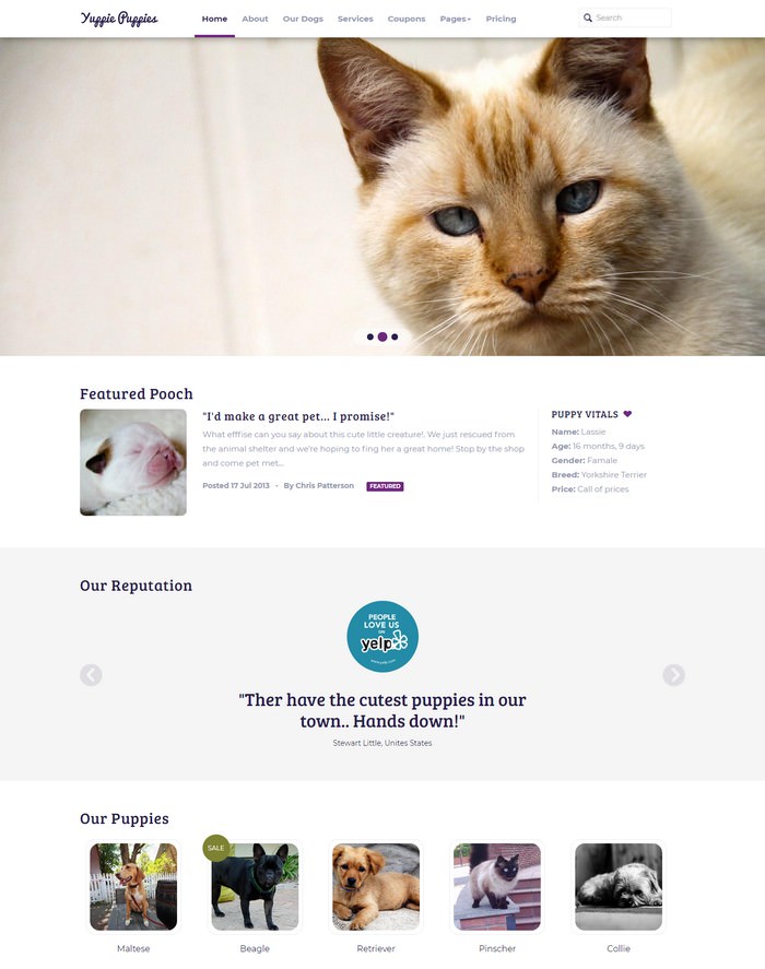 Petshop – Responsive Pet Friendly Theme