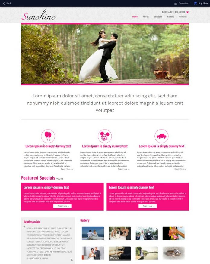 60+ Best Wedding Website Templates Free & Premium 2020 – Templatefor