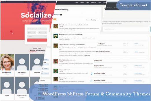 WordPress bbPress Forum & Community Theme