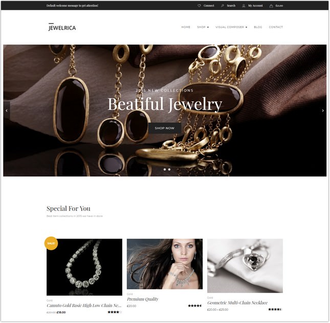 Jewelrica - eCommerce WordPress Theme