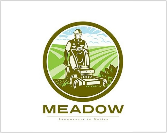 Meadow Landscaping Mowing