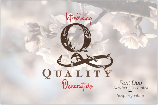 Quality Decorative Font Duo