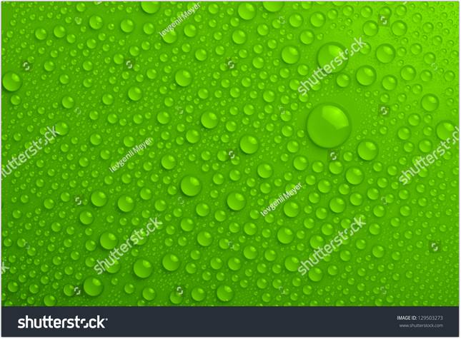 Water Drops on Green Background