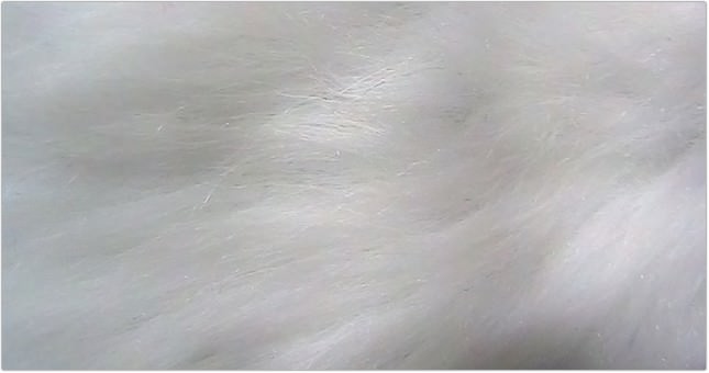 White Fur Texture Background