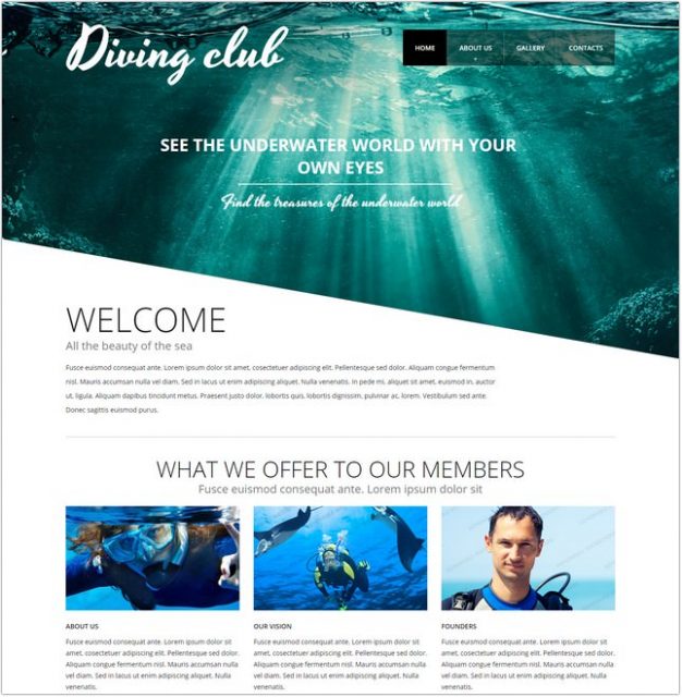 11 Best Scuba Diving Website Templates & Themes 2024 - Templatefor