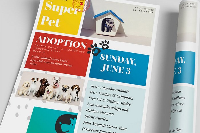Pet Adoption Flyer Template