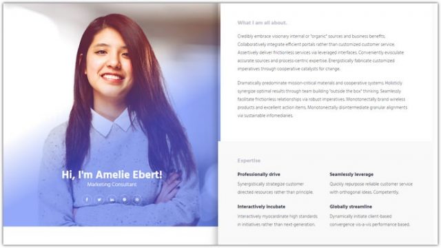 simple resume template bootstrap free download