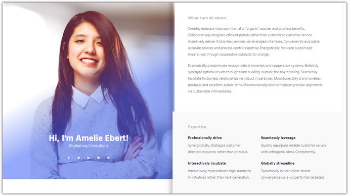 HTML Responsive Bootstrap Resume Template