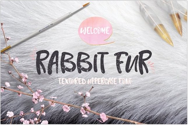 Rabbit Fur Font Typeface