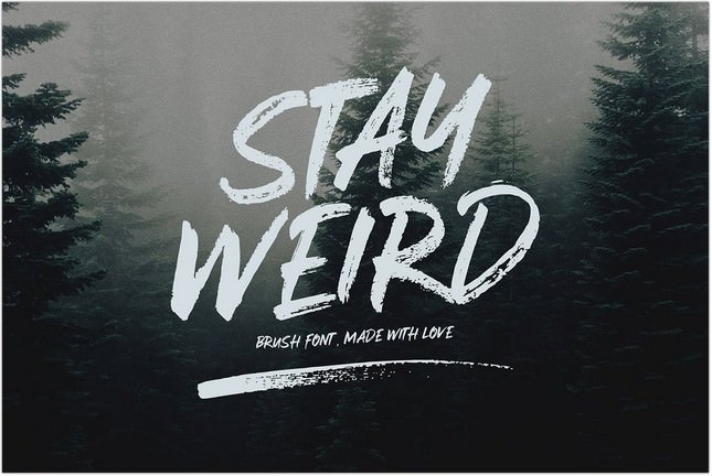 Stay Weird - Brush Font + Swashes