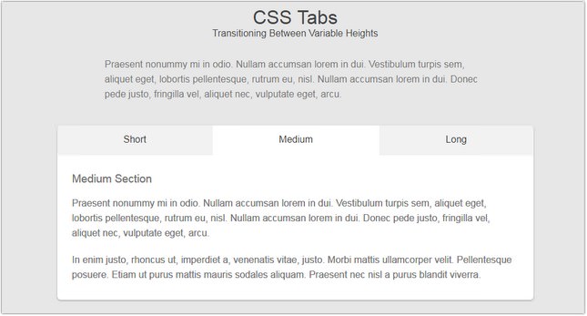30 Best Css Tabs To Style Your Website Templatefor 7428