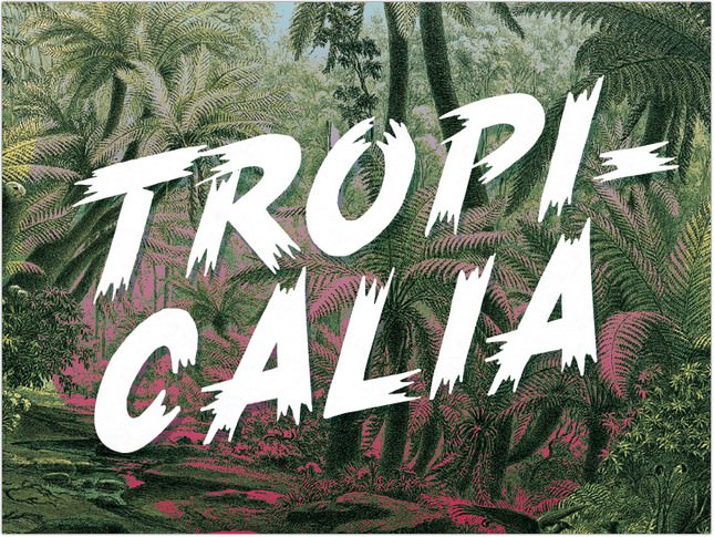 Tropicalia Brush Typeface