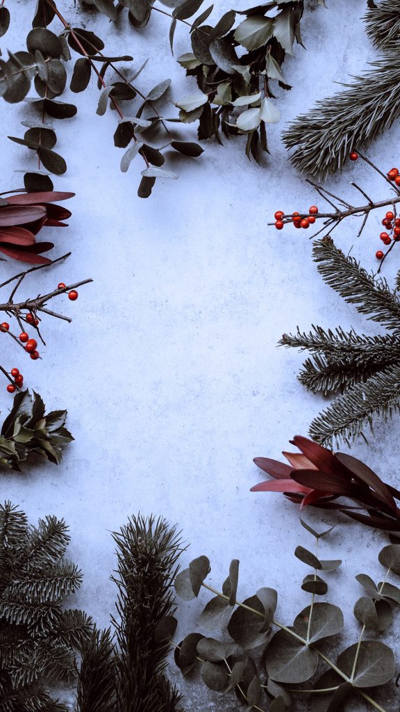 1080 × 1920 Plants on Snow Christmas iPhone wallpaper