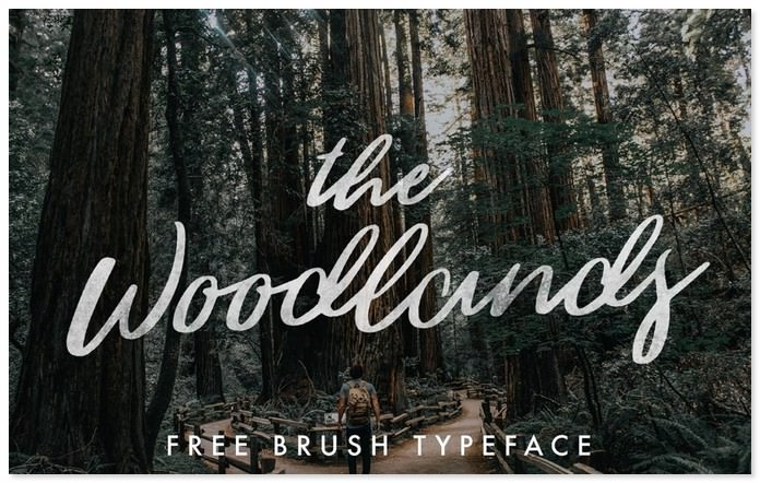The Woodland Brush Script Font