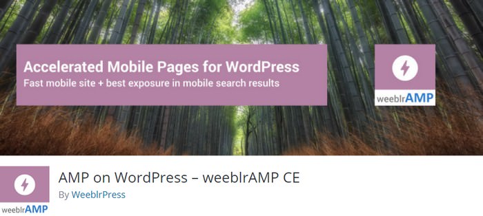 AMP on WordPres