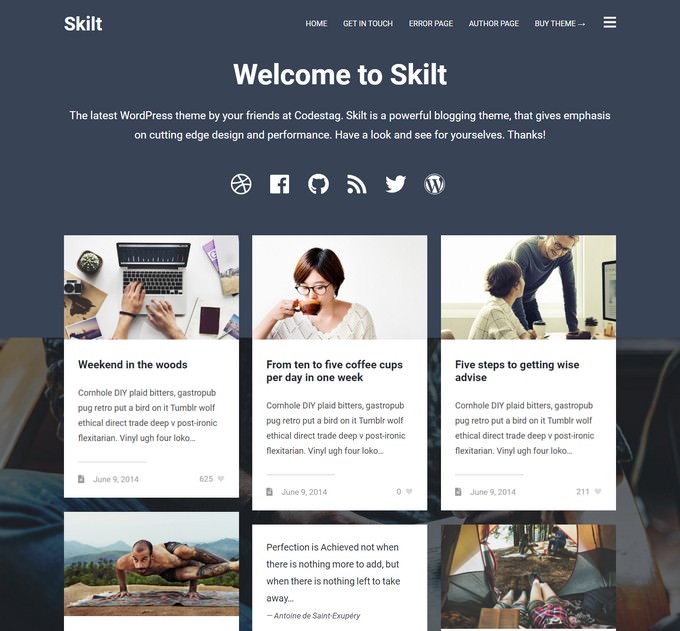 Skilt - A WordPress Theme For Frequent Bloggers