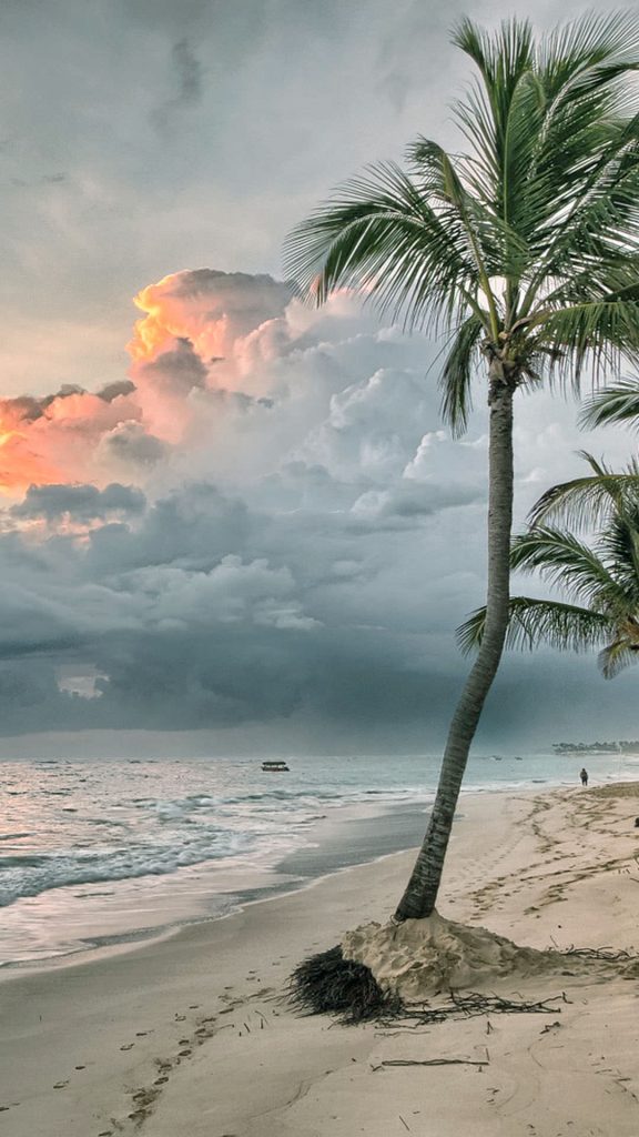 Sand, Palm tree, Nature Beach HD iPhone Wallpaper- 1080×1920
