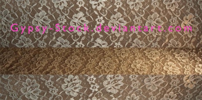 Lace Fabric Textures