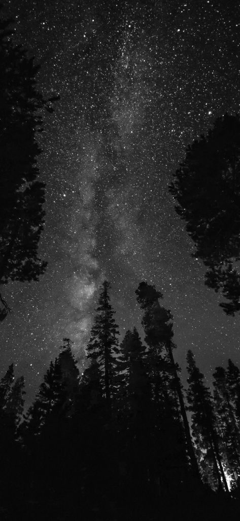 iphone X black and white wallpaper 1125×2436