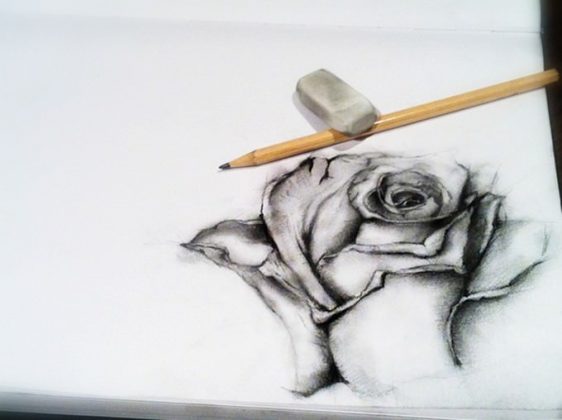 25+ Best Rose Drawings - PSD, EPS, AI Format - Templatefor