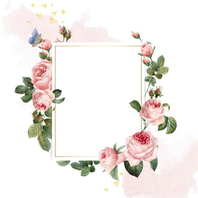 Blank Rectangle Pink Roses Frame Pink White Background