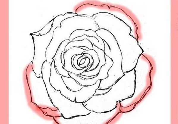 25+ Best Rose Drawings - PSD, EPS, AI Format - Templatefor