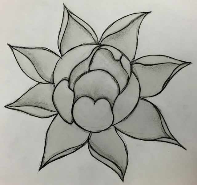 22 Best Flower Drawings - PSD AI EPS Format - Templatefor