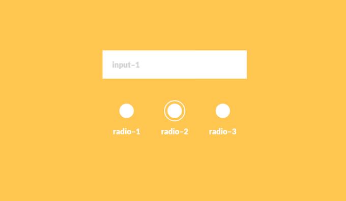 Input & Radio-button