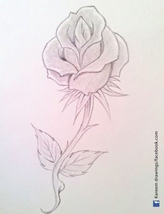 25+ Best Rose Drawings - PSD, EPS, AI Format - Templatefor