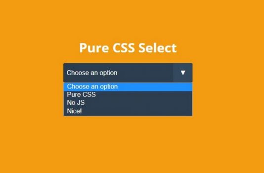 Select с картинками css