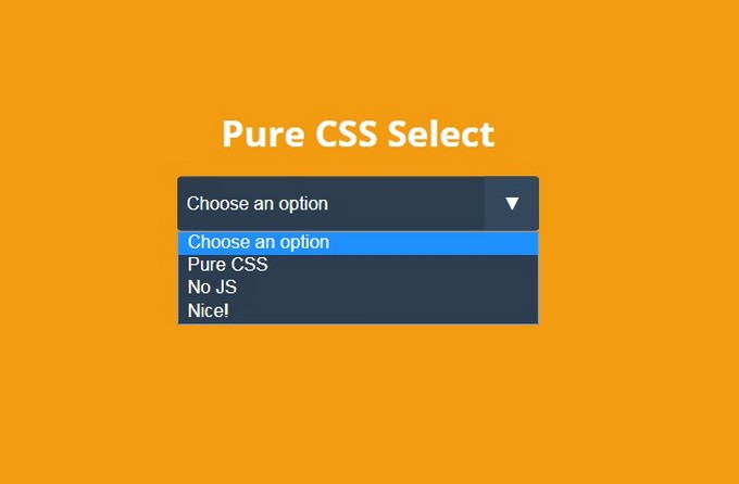 How To Apply Css In Select Option In Html - PELAJARAN