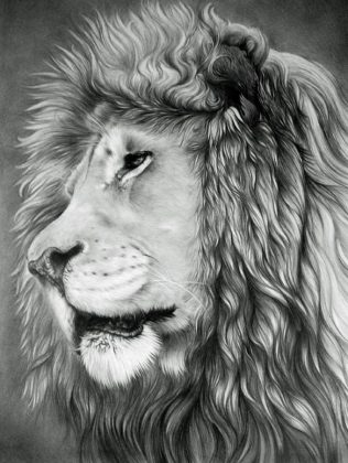 24 Best Lion Drawings Templates 2024 - Templatefor