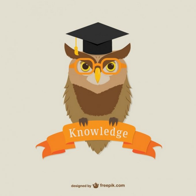 owl Logo