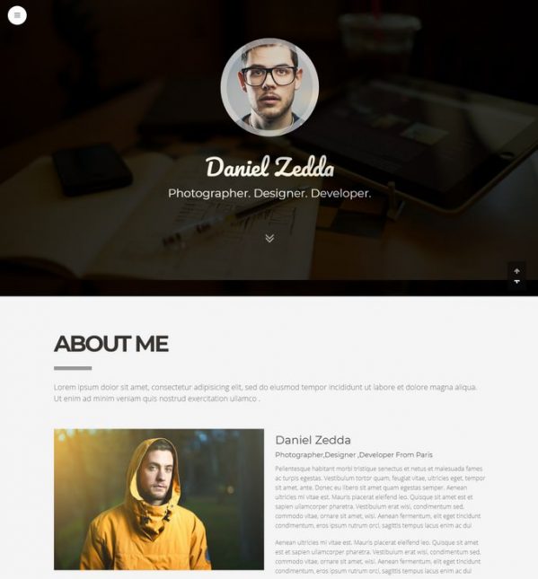 30+ Striking Resume CV WordPress Themes 2019 - Templatefor