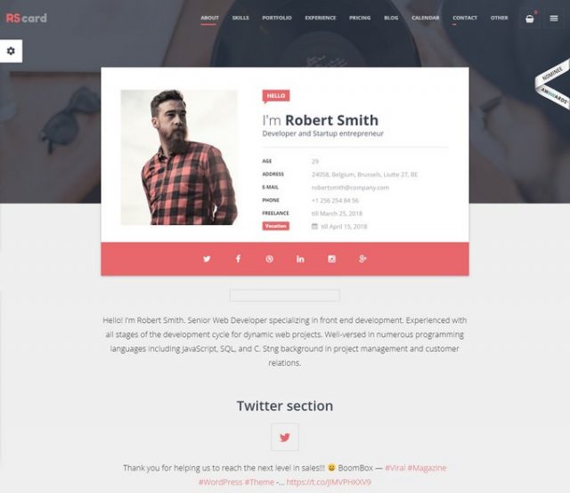 30+ Striking Resume CV WordPress Themes 2019 - Templatefor