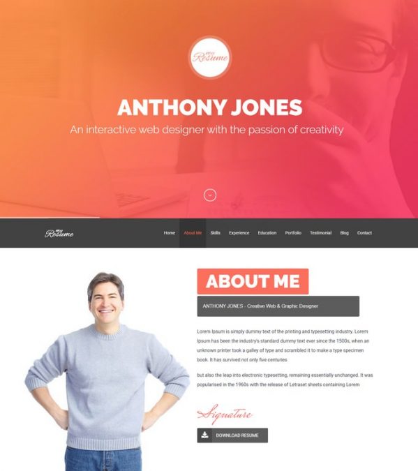 30+ Striking Resume CV WordPress Themes 2019 - Templatefor