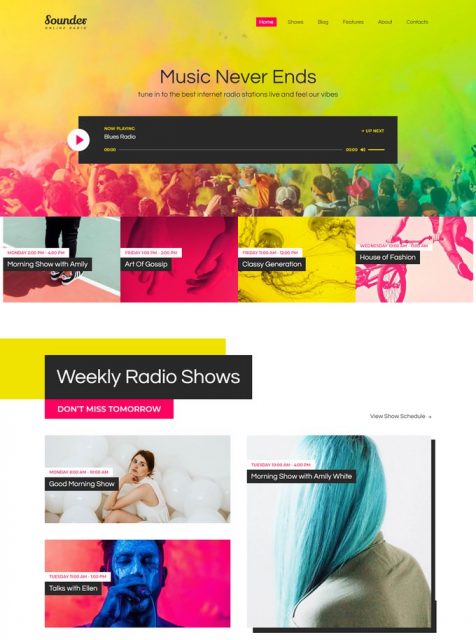 25 Best Music & Radio Station WordPress Themes 2024 - Templatefor