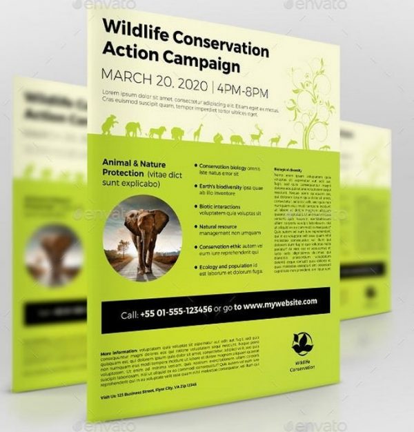 15+ Best Conservation Flyer Templates 2019 - Templatefor