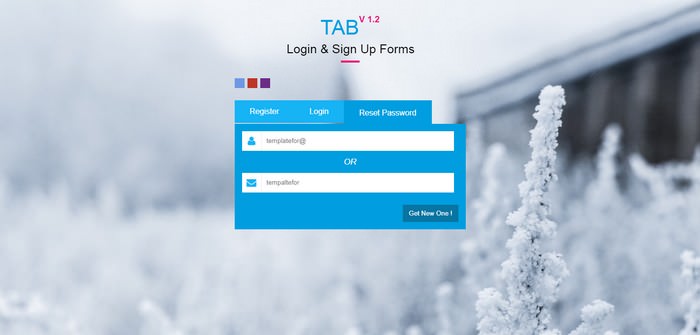 Tab Login & Sign Up Forms