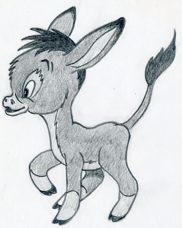 Cartoon Donkey Draw