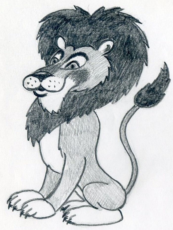 Cartoon Lion Draw