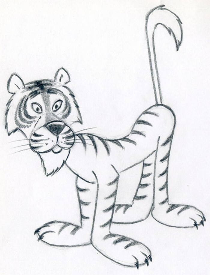 Cartoon Tiger Draw